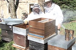 Votre Formation apicole: un succès total !