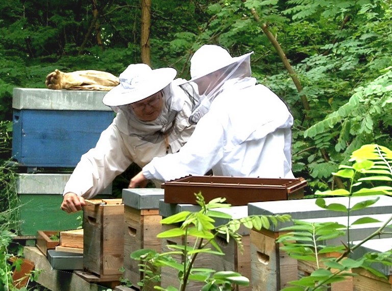 Stage privé et formation individuelle en apiculture Formation individuelle en apiculture. Venez suivre un cours particulier