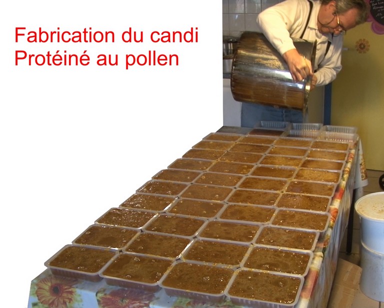 Les protéines naturelles sont importantes pour les abeilles Fabrication artisanale d'un candi protéiné