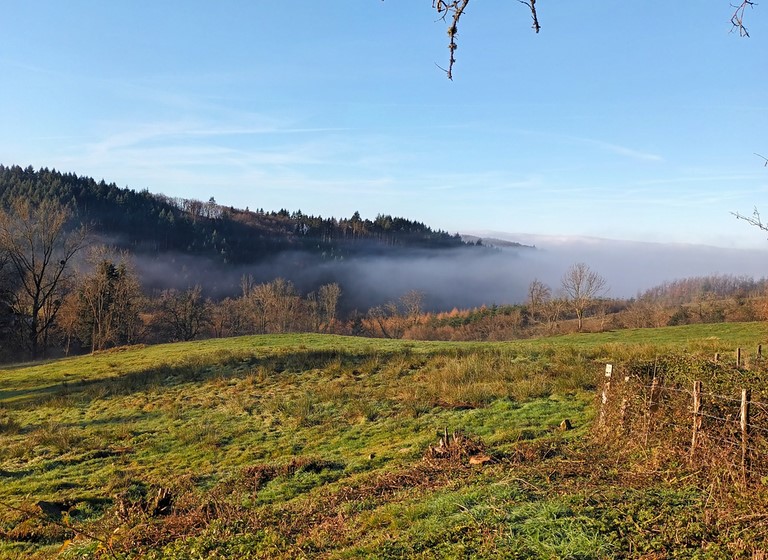 Préparation des ruches avant l'hiver