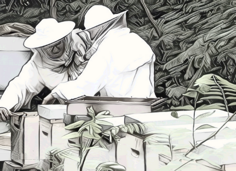 Ne remettez pas à demain votre inscription à l'un de mes stages d'apiculture