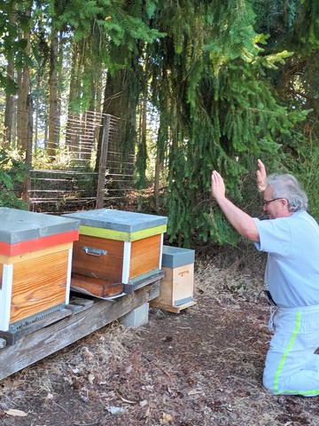 Incantations auporès des abeilles pour réussir ? Apiculteur suppliant ses abeilles pour qu'elles lui rapportent !