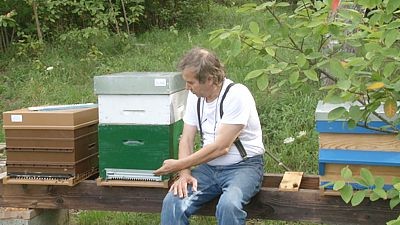 Ne remettez pas à demain votre inscription à l'un de mes stages d'apiculture