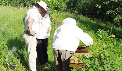 En apiculture, la formation en couple est importante pour la paix des ménages Formation pour couple de débutants en apiculture