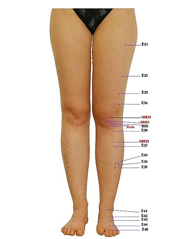 Apipuncture et Bee venom therapy