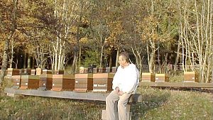 Quel investissement pour l'apiculture pro ? Apiculture professionnelle: un solide investissement est nécessaire