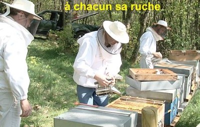 devenir autonome en apiculture grâce à une formation solide