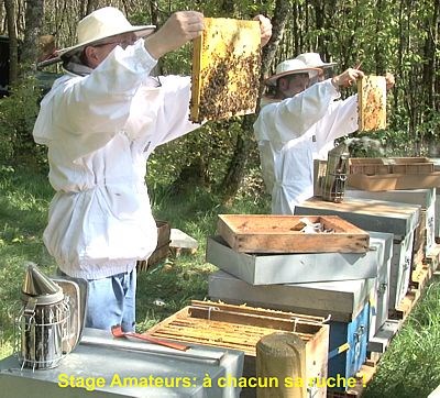 Stages de formation en apiculture Apprendre l'apiculture ? Venez en stage de formation chez Abeille et Nature