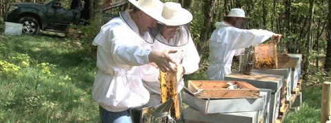 Une formation en Apiculture sur mesure Venez vous former en apiculture avec Bernard NICOLLET pour tuteur
