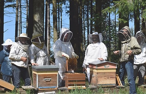 Une formation en apiculture, ça se construit ! un bon plan de formation en apiculture est indispensable