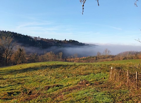 Travail hivernal de l'apiculteur Préparation des ruches avant l'hiver