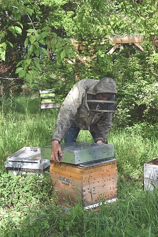 Le Propoliculteur produit et récolte de la propolis