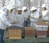 La reconvesrion professionnelle en apiculture doit impérativement passer par une formation qualifiante