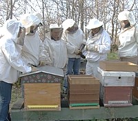 Reconversion professionnelle en Apiculture La reconvesrion professionnelle en apiculture doit impérativement passer par une formation qualifiante