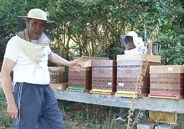 Bernard NICOLLET: Formateur en Apiculture, Audit, Conseil, Expertise