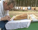 Devenir apiculteur professionnel, faites confiance à Abeille et Nature