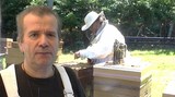 Apiculture professionnelle ?